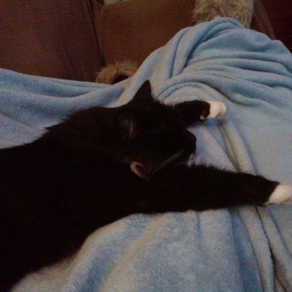 Meet your Posher, Inga - Picture 1 of 1